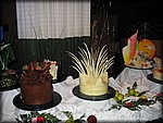 IMG_4177.jpg