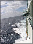IMG_4181.jpg