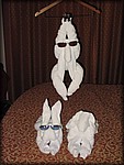 IMG_4186.jpg