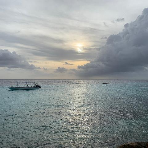 IMG 0885
