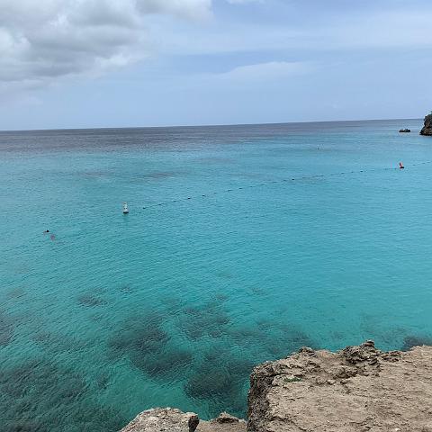 IMG 0920