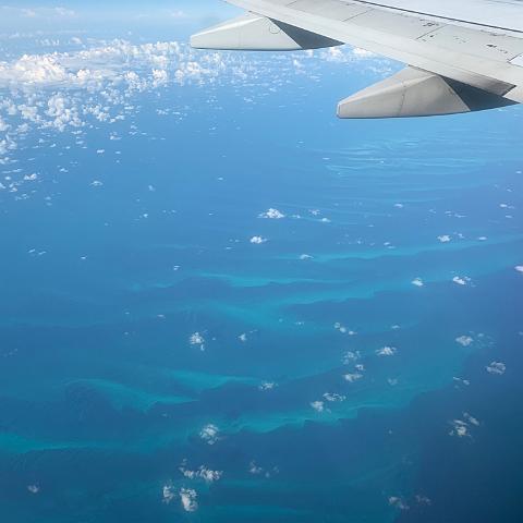 IMG 1524