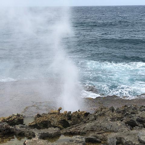 IMG 1591
