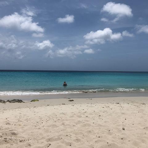 IMG 1628