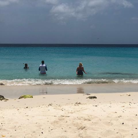 IMG 1635