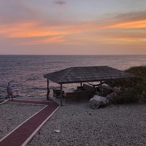 IMG 1655