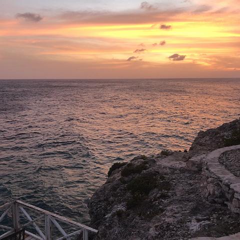 IMG 1659