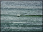 IMG_0502.jpg