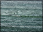 IMG_0503.jpg