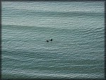 IMG_0507.jpg