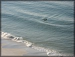 IMG_0511.jpg