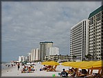 IMG_0521.jpg