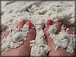 IMG_0526.jpg