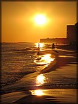 IMG_0593.jpg