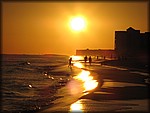 IMG_0595.jpg