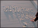 IMG_0603.jpg