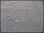 IMG_0604.jpg