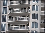 IMG_0612.jpg
