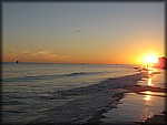 IMG_0615.jpg