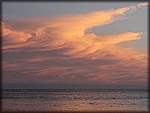 IMG_0659.jpg