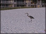 IMG_0671.jpg