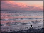 IMG_0678.jpg