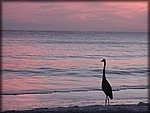 IMG_0679.jpg