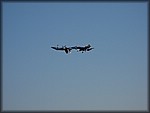 IMG_0709.jpg