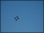 IMG_0712.jpg