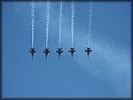 IMG_0731.jpg