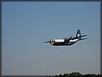 IMG_0769.jpg