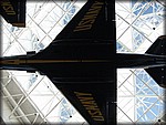IMG_0785.jpg