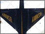 IMG_0786.jpg