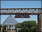 IMG_1157.jpg
