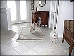P1010990.JPG