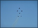 P1020119.JPG