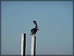 P1020150.JPG