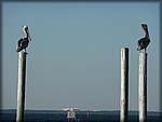 P1020154.JPG