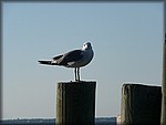 P1020160.JPG