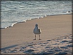 P1020177.JPG