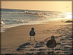 P1020186.JPG