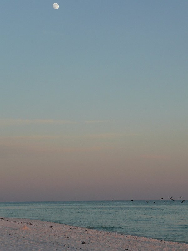 P1070699.JPG