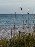 P1070310