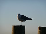 P1070494