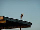 P1070502