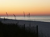 P1070569
