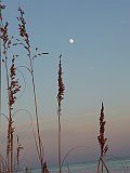 P1070709