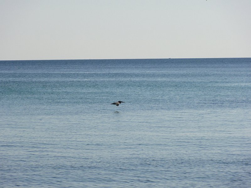 DSC02165.JPG