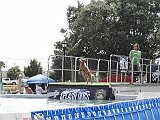 DSC02042
