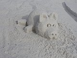 DSC02061
